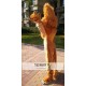 Lion Animal Mascot Costume