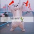 Cartoon Bear Mascot Costume