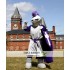 Warrior Knight Mascot Costume