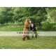 Artificial Bear Realistic Fursuit Animal Mascot Costumes