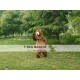 Artificial Bear Realistic Fursuit Animal Mascot Costumes