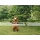 Artificial Bear Realistic Fursuit Animal Mascot Costumes