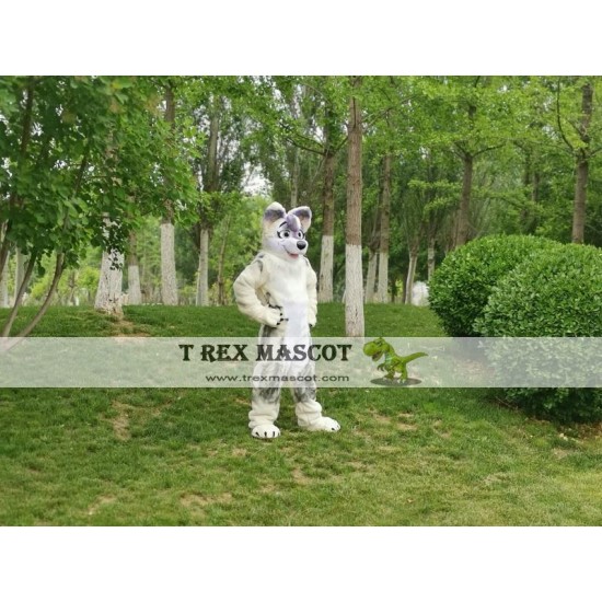 Dog Fox Wolf Realistic Fursuit Animal Mascot Costumes