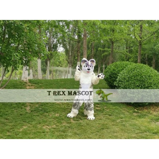 Dog Fox Wolf Realistic Fursuit Animal Mascot Costumes