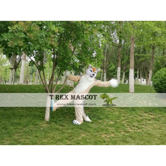 Dog Fox Wolf Realistic Fursuit Animal Mascot Costumes