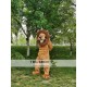 Lion Animal Realistic Fursuit Animal Mascot Costumes