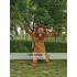 Lion Animal Realistic Fursuit Animal Mascot Costumes