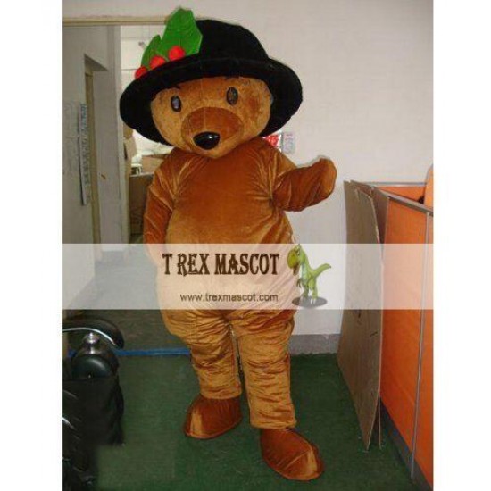 Teddy Bear Mascot Costumes