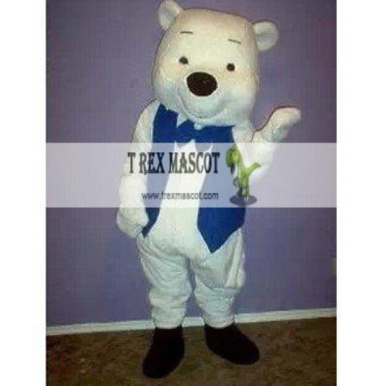 Teddy Bear in a vest Mascot Costumes