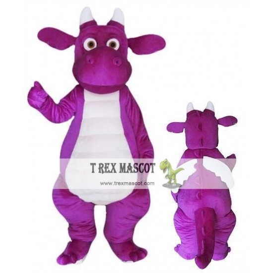 Dinosaurs Dragons Mascot Costumes