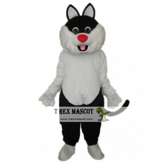 Cats Kittens Cat Mascot Costumes