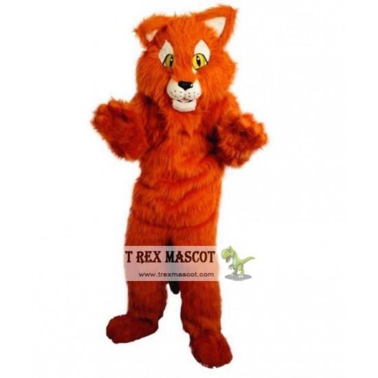 Cats Kittens Furry Cat Mascot Costumes