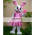 Easter Mrs. Bunny Mascot Costumes with Easter basket 