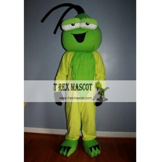 Bees Insects Green Grasshopper Mascot Costumes