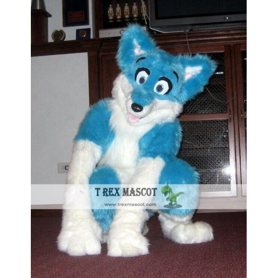 Long Hair Husky Dog Fox Fursuit Mascot Costume