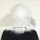 Animal Poodle dog Fursuit Head Mascot Head