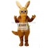 Aardvark Anteaters Mascot Costume