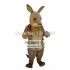 Kangaroo Kanga Mascot Costume