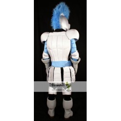 Lancer Knight Mascot Costume Celebration Carnival Outfit