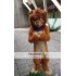 Brown Fursuit Wolf Mascot Costume