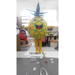 Fruit Pineapple Plush Mascot Costume For Christmas