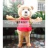 Teddy Bear Of Ted Halloween Cartoon Mascot Costume