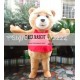 Teddy Bear Of Ted Halloween Cartoon Mascot Costume