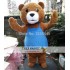 Adult Plush Teddy Bear Mascot Costume