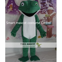 Smart Frog Costume For Girls Frog Costume For Adult