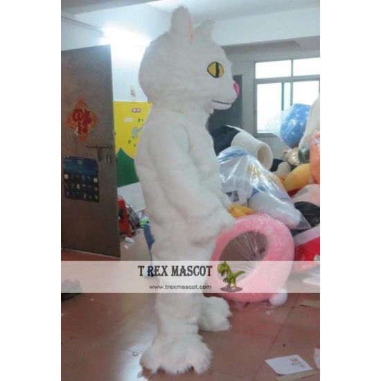 Mascot Costume For Adult