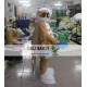 Bird Mascot Costume Eva Adult Bird Mascot