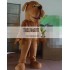 Big Mouth Brown Puppy Dog Mascot Costume For Adult