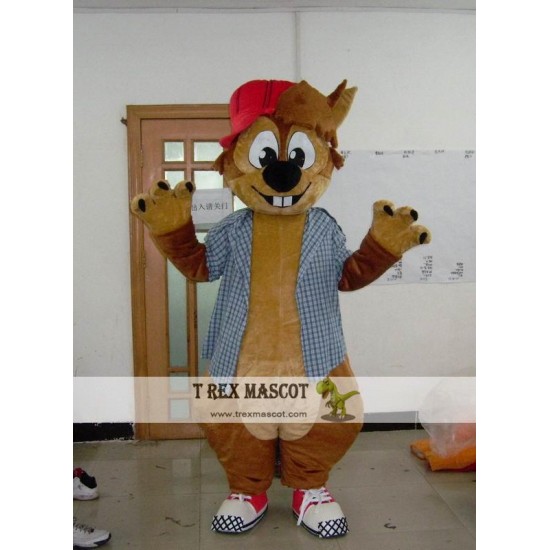 Adult Squirrel Mascot Costume