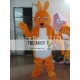 Ebullient Squirrel Mascot Costume For Adults Squirrel Mascot