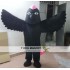 Black Bird Mascot Costume Adult Bird Costume