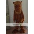 Adult Camel Mascot Costume