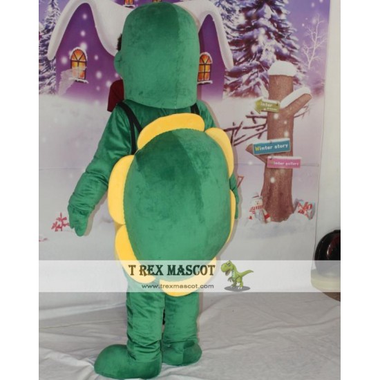 Sea Turtle Costume Nice Adult Sea Turtle Mascot Costume