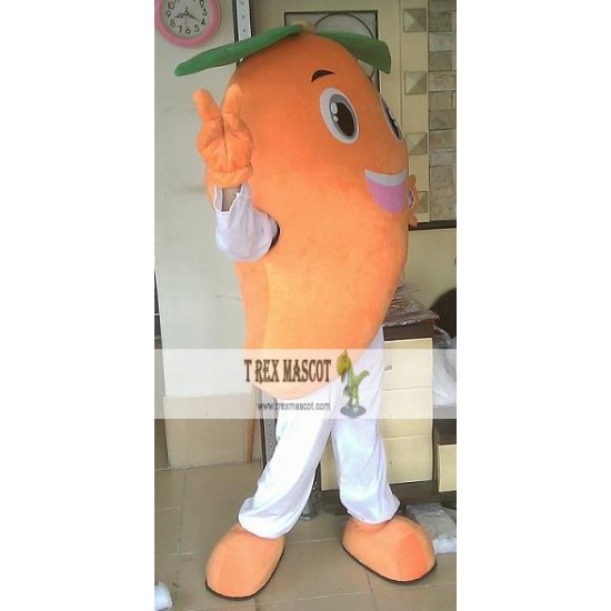 Fruit Costume Adult Mango Mascot Costume