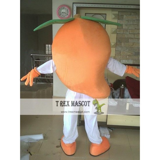 Fruit Costume Adult Mango Mascot Costume