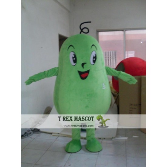 Green Melon Mascot Costume For Adults