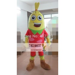 Candy Mascot Costume Adult Candy Mascot