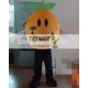 Orange With A Big Smile Mascot Costume Adult Orange Mascot