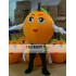 Fancy Fruit Mascot Costume Adult Orange Mascot Costume