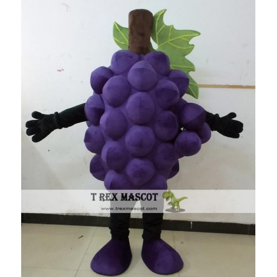 Purple Grape Mascot Costume Adult Grape Costume