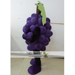 Purple Grape Mascot Costume Adult Grape Costume