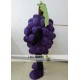 Purple Grape Mascot Costume Adult Grape Costume