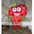 Strawberry Heart Mascot Costume Adult Strawberry Costume