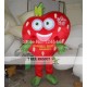 Strawberry Heart Mascot Costume Adult Strawberry Costume