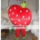 Strawberry Heart Mascot Costume Adult Strawberry Costume