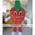 Adult Strawberry Mascot Costume Fruit Carnival Strawberry Costume